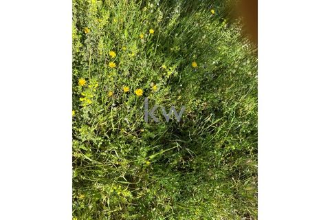 Helårsgrund i Vila Nova de Sao Bento e Vale de Vargo, Beja, Vila Nova de Sao Bento e Vale de Vargo - € 39.500 | Ref: KWPT-009358 - foto 7