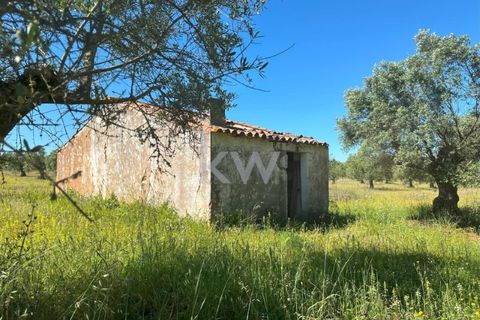 Helårsgrund i Vila Nova de Sao Bento e Vale de Vargo, Beja, Vila Nova de Sao Bento e Vale de Vargo - € 39.500 | Ref: KWPT-009358 - foto 10