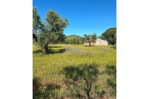 Helårsgrund i Vila Nova de Sao Bento e Vale de Vargo, Beja, Vila Nova de Sao Bento e Vale de Vargo - € 39.500 | Ref: KWPT-009358 - foto 15