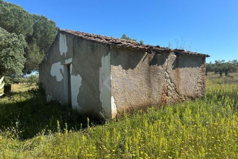 Helårsgrund i Vila Nova de Sao Bento e Vale de Vargo, Beja, Vila Nova de Sao Bento e Vale de Vargo - € 39.500 | Ref: KWPT-009358 - foto 6