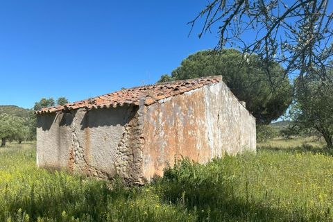 Helårsgrund i Vila Nova de Sao Bento e Vale de Vargo, Beja, Vila Nova de Sao Bento e Vale de Vargo - € 39.500 | Ref: KWPT-009358 - foto 8