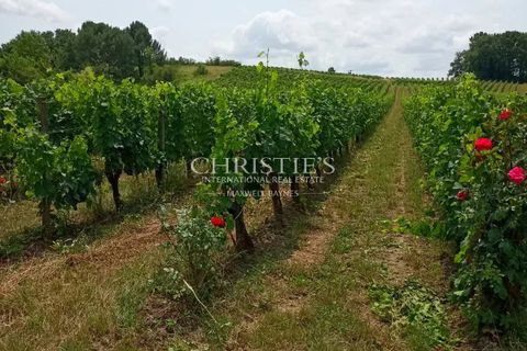 Villa i Blaye, Gironde, Blaye - € 899.000 | Ref: XR1088 - foto 18