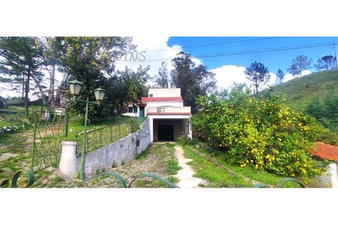 Landejendom i Monchique, Faro, Monchique - € 450.000 | Ref: TW267 - foto 5