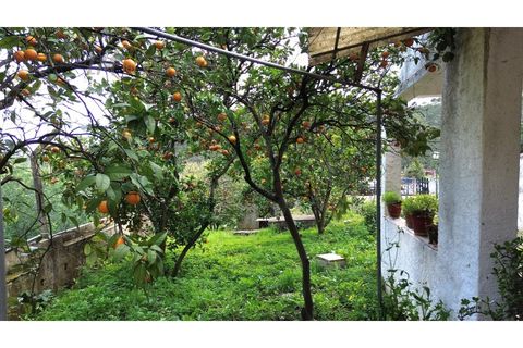 Landejendom i Monchique, Faro, Monchique - € 450.000 | Ref: TW267 - foto 6