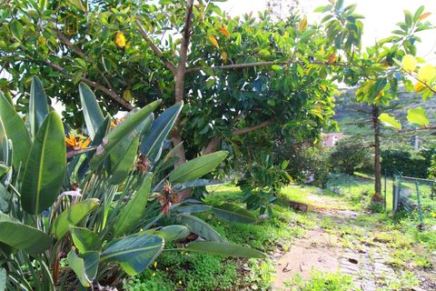 Landejendom i Monchique, Faro, Monchique - € 450.000 | Ref: TW267 - foto 7