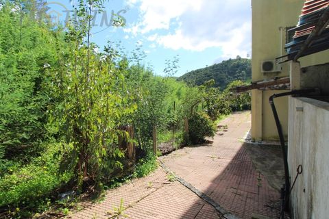 Landejendom i Monchique, Faro, Monchique - € 450.000 | Ref: TW267 - foto 9
