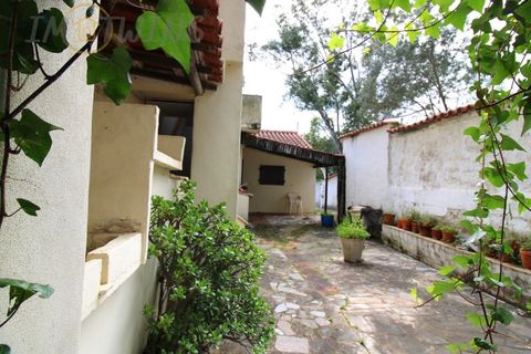 Landejendom i Monchique, Faro, Monchique - € 450.000 | Ref: TW267 - foto 12