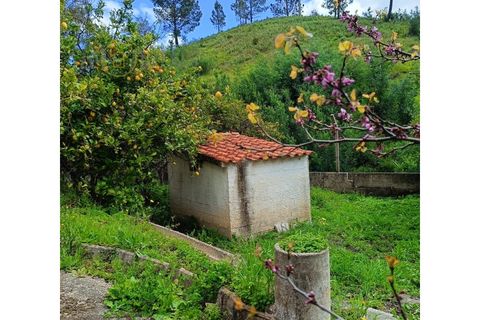 Landejendom i Monchique, Faro, Monchique - € 450.000 | Ref: TW267 - foto 13