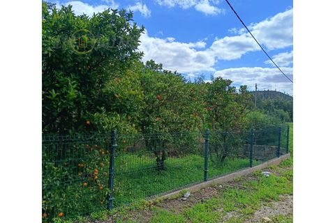 Landejendom i Monchique, Faro, Monchique - € 450.000 | Ref: TW267 - foto 14