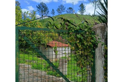 Landejendom i Monchique, Faro, Monchique - € 450.000 | Ref: TW267 - foto 34