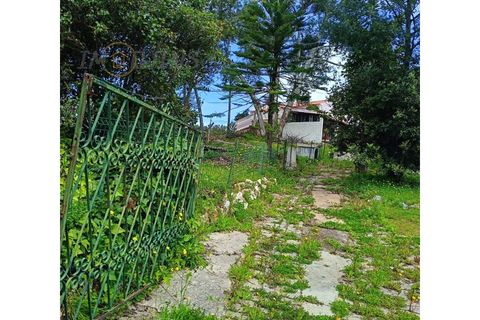 Landejendom i Monchique, Faro, Monchique - € 450.000 | Ref: TW267 - foto 35