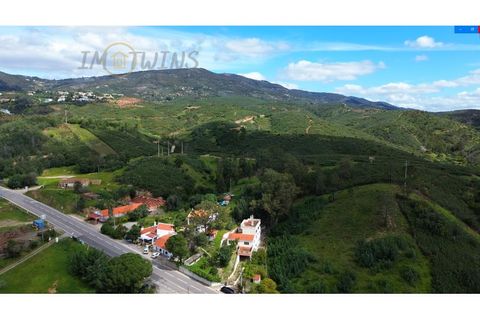 Landejendom i Monchique, Faro, Monchique - € 450.000 | Ref: TW267 - foto 37