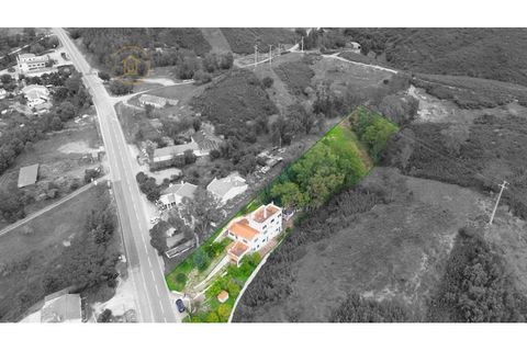 Landejendom i Monchique, Faro, Monchique - € 450.000 | Ref: TW267 - foto 38
