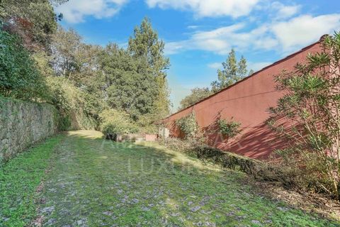 Villa i Oliveira do Douro, Porto, Oliveira do Douro - € 2.990.000 | Ref: 1300/24 - foto 47