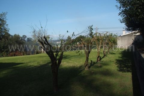 Farm i Barcelos, Braga, Barcelos - € 850.000 | Ref: QT3943 - foto 3