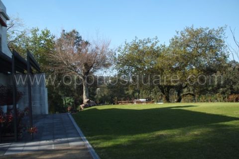 Farm i Barcelos, Braga, Barcelos - € 850.000 | Ref: QT3943 - foto 4