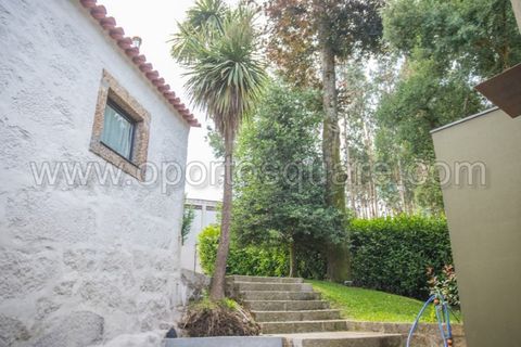 Farm i Barcelos, Braga, Barcelos - € 850.000 | Ref: QT3943 - foto 28