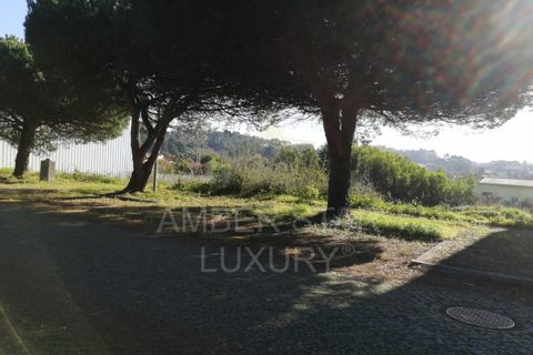 Helårsgrund i Espinho, Aveiro, Espinho - € 225.000 | Ref: 1323/24 - foto 7