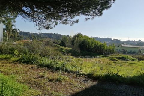 Helårsgrund i Espinho, Aveiro, Espinho - € 225.000 | Ref: 1323/24 - foto 15