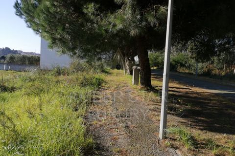 Helårsgrund i Espinho, Aveiro, Espinho - € 225.000 | Ref: 1323/24 - foto 16