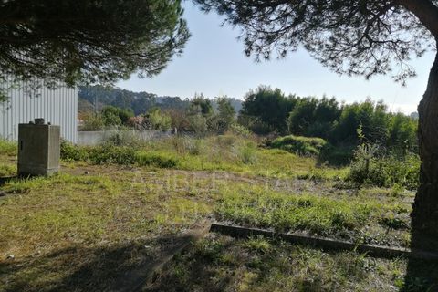 Helårsgrund i Espinho, Aveiro, Espinho - € 59.500 | Ref: 1326/24 - foto 9
