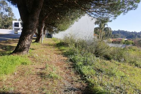 Helårsgrund i Espinho, Aveiro, Espinho - € 59.500 | Ref: 1326/24 - foto 11