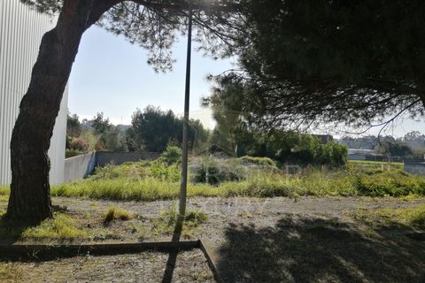Helårsgrund i Espinho, Aveiro, Espinho - € 59.500 | Ref: 1326/24 - foto 18