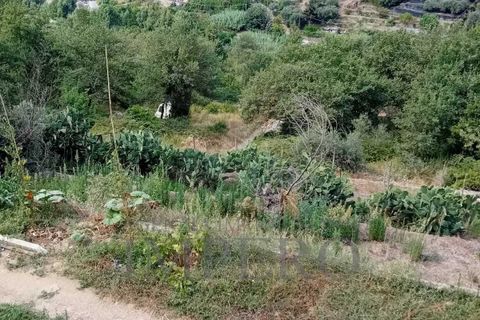 Villa a Dolceacqua, Imperia, Dolceacqua - € 270.000 | Ref: 23088 - foto 14