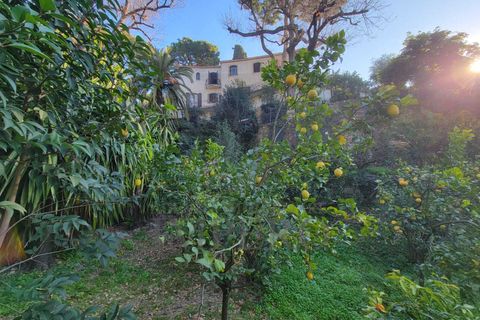 Villa i Bordighera, Imperia, Bordighera - € 1.990.000 | Ref: 23203 - foto 24