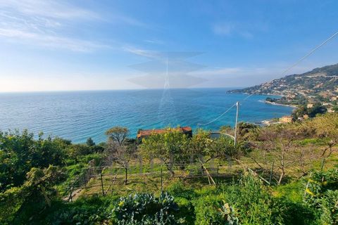 Byhus i Ventimiglia, Imperia, Ventimiglia - € 800.000 | Ref: 23221 - foto 6