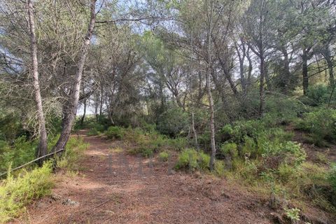 Villa i Ventimiglia, Imperia, Ventimiglia - € 95.000 | Ref: 23001 - foto 2