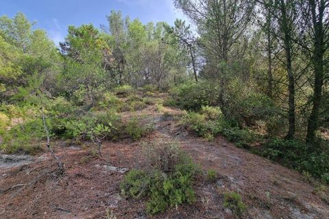 Villa i Ventimiglia, Imperia, Ventimiglia - € 95.000 | Ref: 23001 - foto 3