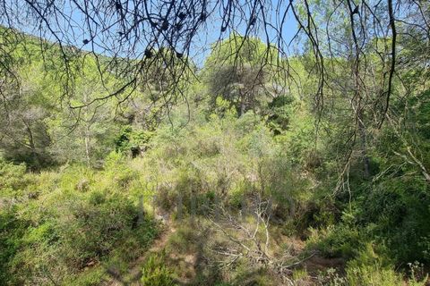Villa i Ventimiglia, Imperia, Ventimiglia - € 95.000 | Ref: 23001 - foto 4