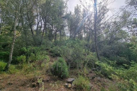Villa i Ventimiglia, Imperia, Ventimiglia - € 95.000 | Ref: 23001 - foto 6