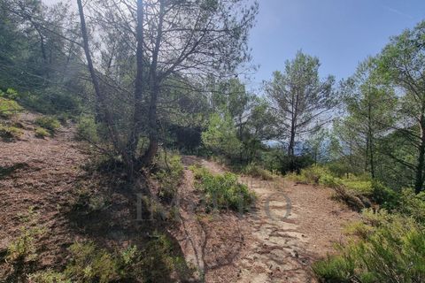 Villa i Ventimiglia, Imperia, Ventimiglia - € 95.000 | Ref: 23001 - foto 7