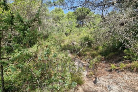 Villa i Ventimiglia, Imperia, Ventimiglia - € 95.000 | Ref: 23001 - foto 8