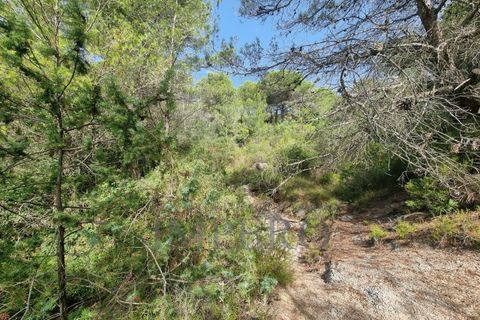 Villa i Ventimiglia, Imperia, Ventimiglia - € 95.000 | Ref: 23001 - foto 9