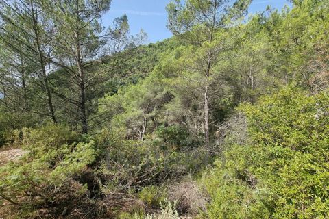 Villa i Ventimiglia, Imperia, Ventimiglia - € 95.000 | Ref: 23001 - foto 10