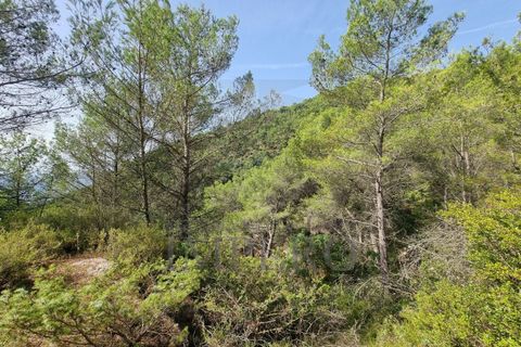 Villa i Ventimiglia, Imperia, Ventimiglia - € 95.000 | Ref: 23001 - foto 11