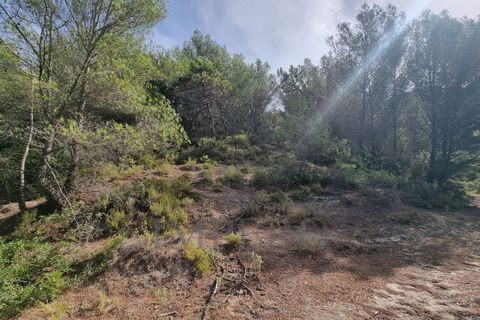 Villa i Ventimiglia, Imperia, Ventimiglia - € 95.000 | Ref: 23001 - foto 12