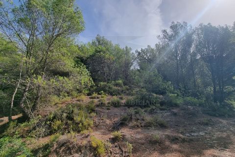 Villa i Ventimiglia, Imperia, Ventimiglia - € 95.000 | Ref: 23001 - foto 13