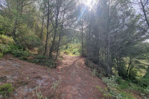 Villa i Ventimiglia, Imperia, Ventimiglia - € 95.000 | Ref: 23001 - foto 14