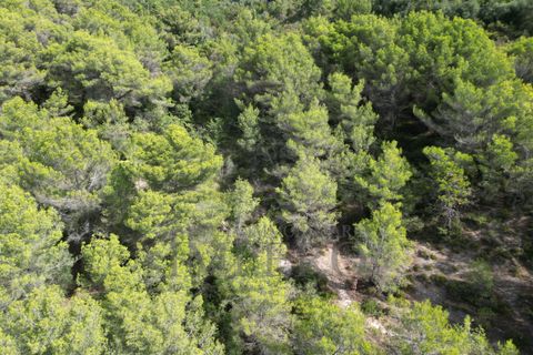 Villa i Ventimiglia, Imperia, Ventimiglia - € 95.000 | Ref: 23001 - foto 15