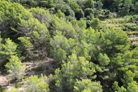 Villa i Ventimiglia, Imperia, Ventimiglia - € 95.000 | Ref: 23001 - foto 16