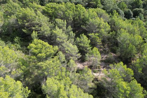 Villa i Ventimiglia, Imperia, Ventimiglia - € 95.000 | Ref: 23001 - foto 17
