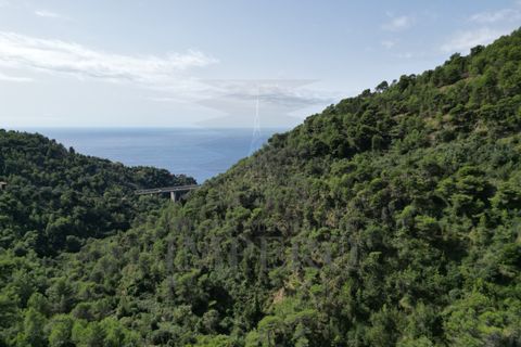 Villa i Ventimiglia, Imperia, Ventimiglia - € 95.000 | Ref: 23001 - foto 18