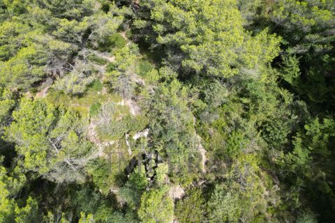 Villa i Ventimiglia, Imperia, Ventimiglia - € 95.000 | Ref: 23001 - foto 19