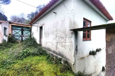 Villa a Estarreja, Aveiro, Estarreja - € 125.000 | Ref: SMF/02916 - foto 3