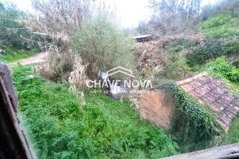 Villa a Estarreja, Aveiro, Estarreja - € 125.000 | Ref: SMF/02916 - foto 10