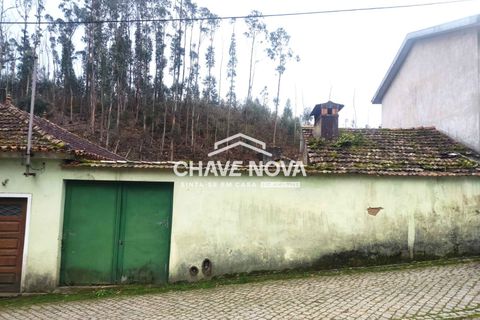Villa a Estarreja, Aveiro, Estarreja - € 125.000 | Ref: SMF/02916 - foto 11